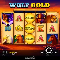 SavaSpin - Wolf Gold Slot Game - Pokies